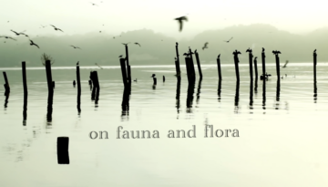 fauna&flora-title